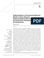 Hallucinations - A Functional Network Model of How Sensory Representations Become Selected For Conscious Awareness in Schizophrenia