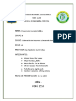 PDF Proyecto de Inversion Publica