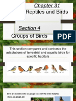 Birds Grouped by Habitat Adaptations