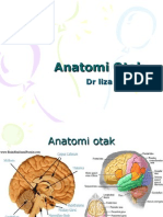 Anatomi Otak DR Liza Presentasi Makalah (Pasca Sarjan STAIN Cirebon)