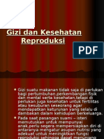 Download Gizi Dan Kesehatan Reproduksi by dr liza MPdI  MM CHt SN6239108 doc pdf