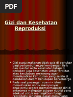 Download Gizi Dan Kesehatan Reproduksi by dr liza MPdI  CHt SN6239108 doc pdf