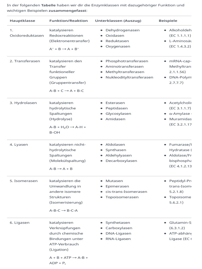Enzymklassen Tabelle, Beispiele, Benennung PDF