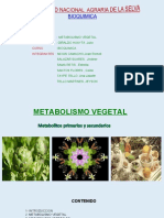 13 Metabolismo_vegetal