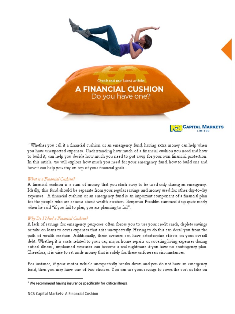 Financial Cushion | PDF | Debt | Expense