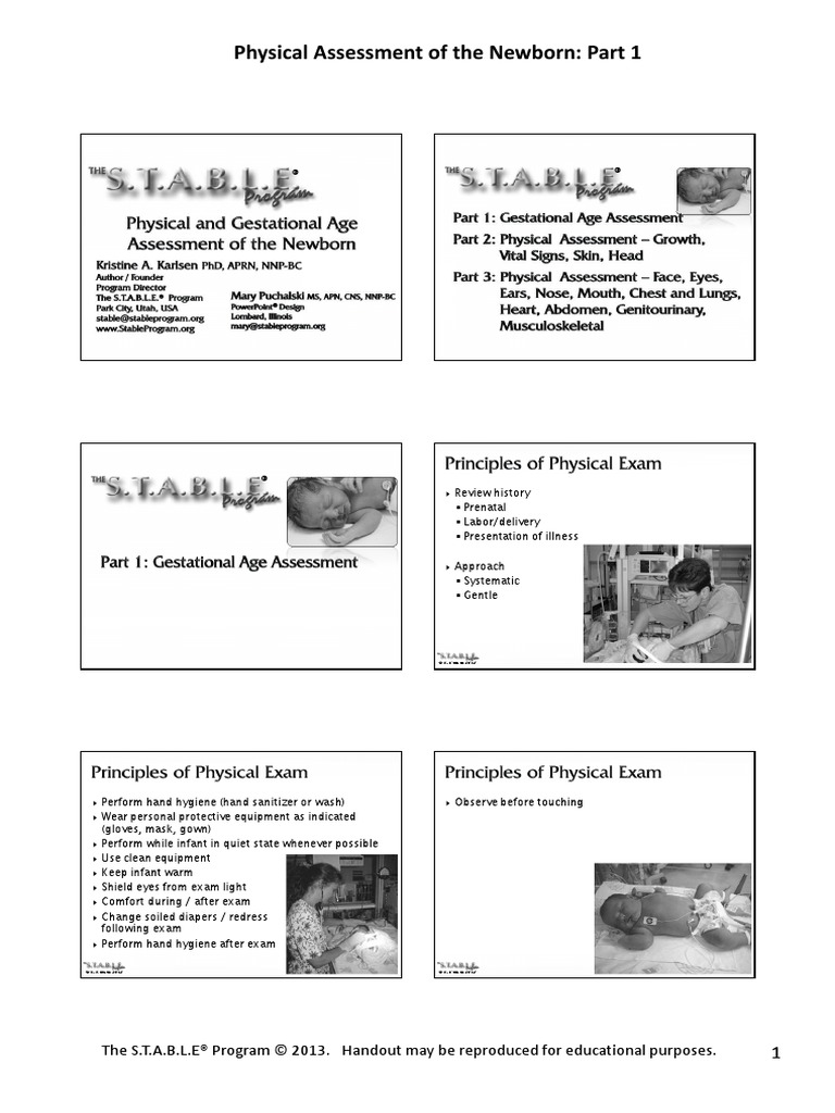 Ballard Score PDF Labia Anatomical Terms Of Motion