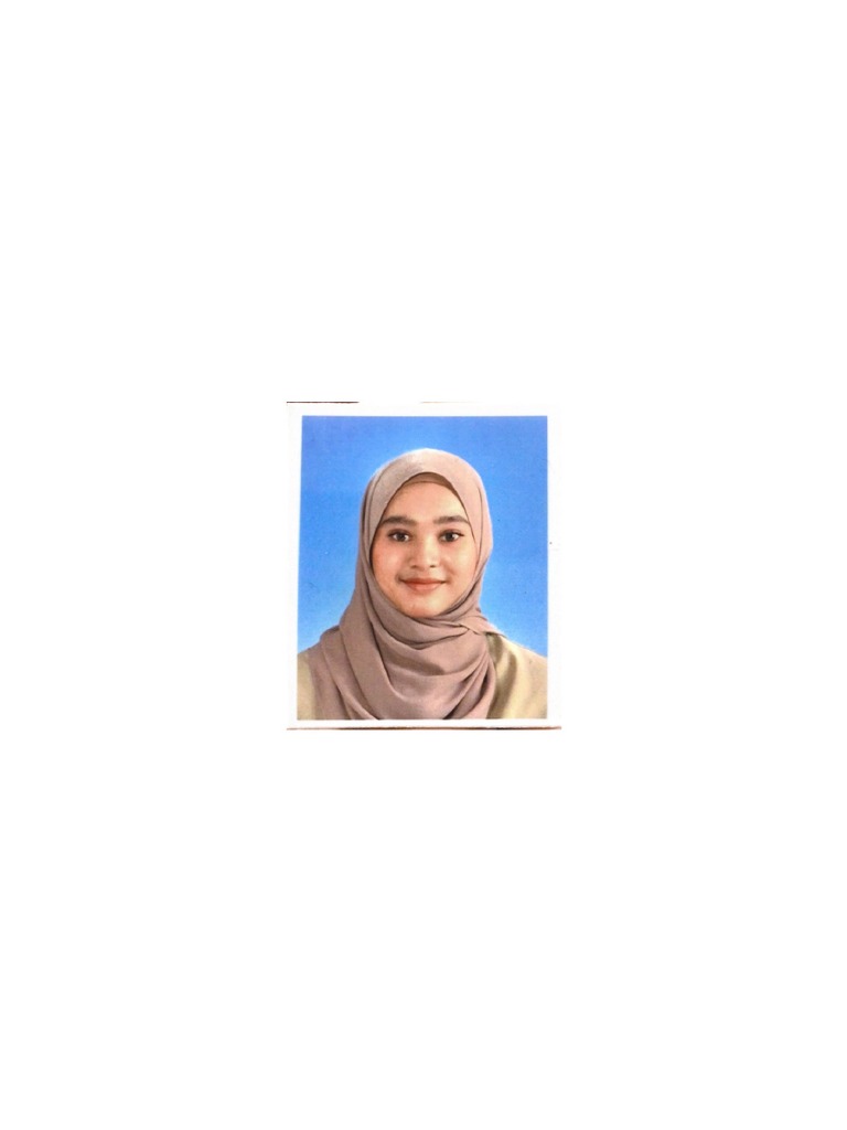 Passport Photo | PDF