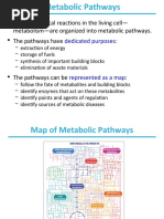 Principle of Metabolic Regulation