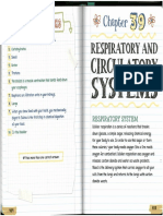 Respiratory System Respiratory Tract