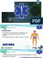 4 Anatomia Basica