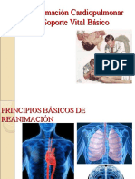 Reanimacionn Cardio Pulmonar