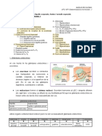 UF3 NF1 Hormones