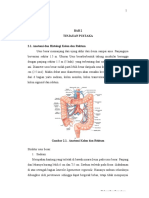 Adoc - Pub - Gambar 21 Anatomi Kolon Dan Rektum