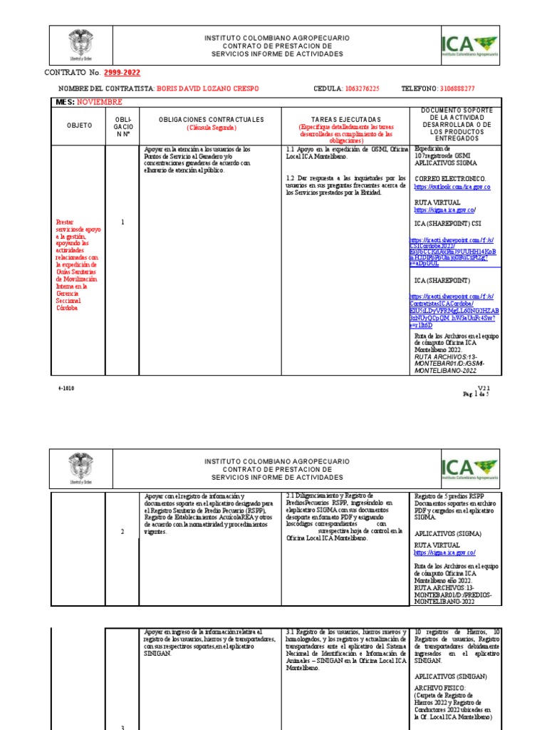 Informe de Actividades Formato | PDF