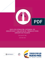 N°8 GPC Cancer de Pulmón