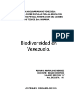 2da Evaluación (Álbum Gráfico) .