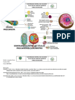  Tarea 3