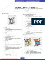 02---CCP-I---ESVAZIAMENTOS-CERVICAIS