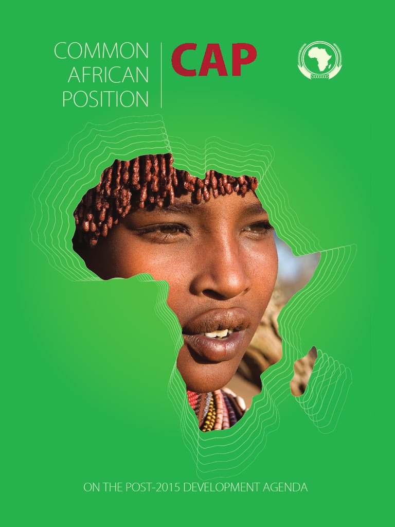1329 Africaposition PDF Millennium Development Goals Climate Change