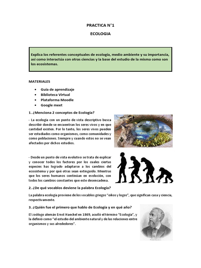 Conceptos Clave de Ecología y Medio Ambiente | PDF | Ecología | Entorno ...