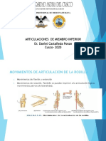 Anato-Articulacion Miembro Inferior 1 PDF