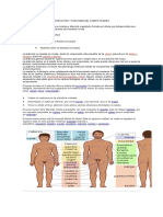 Estructura y Funciones Del Cuerpo Humano