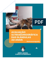 Glandula ad anais ultrassom veterinária 