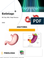 Doenças Do Estômago - Aulão 2020