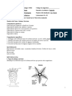 Sistema Nervioso Lab 10