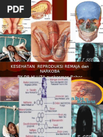 Download Penyakit Kelamin Dan Bahaya Narkoba by dr liza MPdI  CHt SN6239841 doc pdf