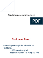LP6 Sindroame1 (2)