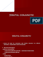 Conjunctiv 1 MD 2022-2023