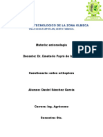 Cuestionario Ortopteros - Sanchez Garcia Daniel