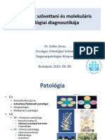 Daganatok Szövettani És Molekuláris Patológiai Diagnosztikája