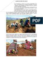 Agricultura de Cuzco