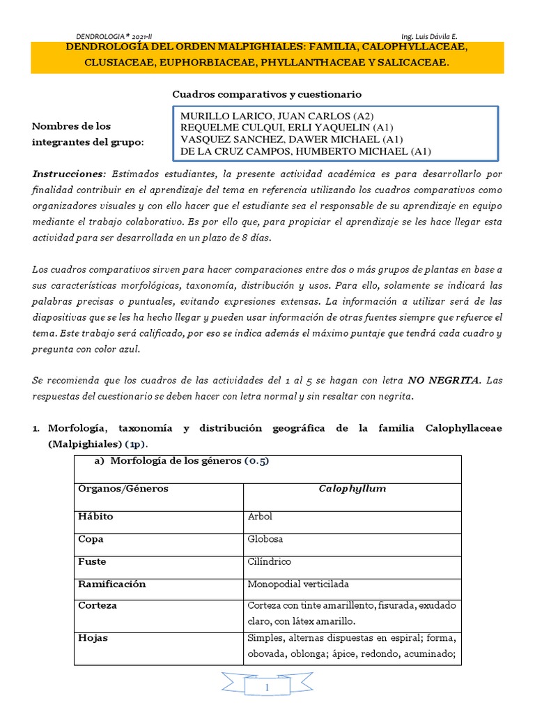 Morfología de Clusia ducu en Dendrología | PDF | Flores | Fruta