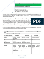 8.7 Cuadro Comparativo Ann Myr Laur Prot