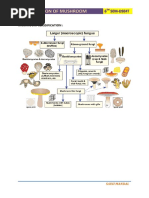 Mycology Colour Atlas 2 | PDF | Fungus | Yeast
