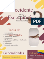 Picadura de Escorpion Notas