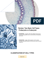 Tissue Types and Cell Modification