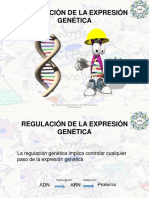 20 - Regulación de La Expresión Genética 08