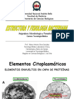 Biofilm bacteriano y simbiosis