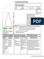 Historia Natural Del Cólera