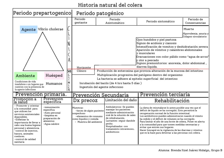 Historia Natural Del Cólera | PDF | Diarrea | Cólera