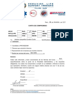 Carta Compromiso General - Aqp