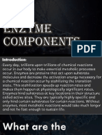 Enzyme Components