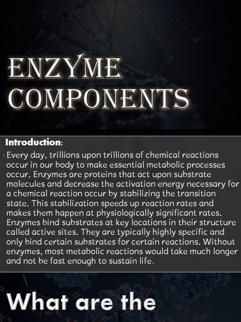 Enzyme Components PDF Enzyme Cofactor (Biochemistry)
