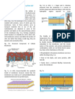 Structural Components of the Cell Membrane (Plasma Membrane