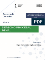 GUIA de Derecho Procesal Penal