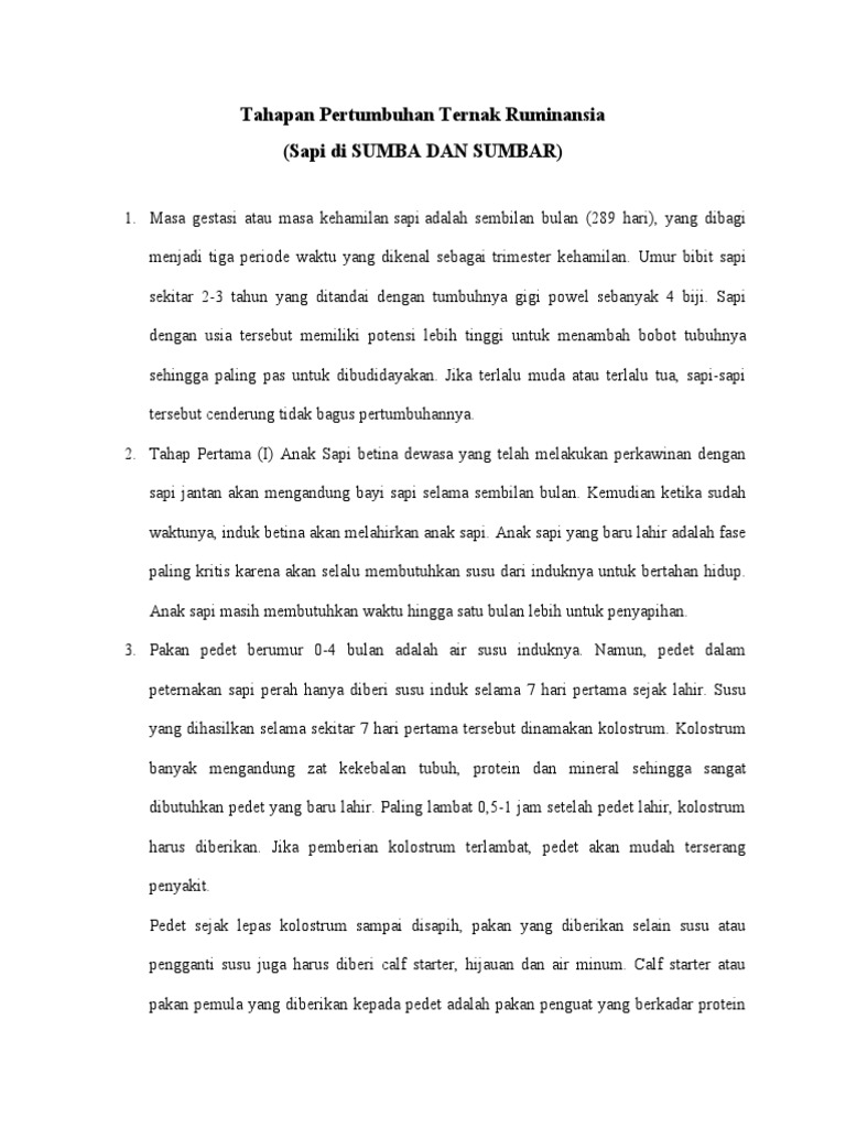 Tahapan Pertumbuhan Sapi Ruminansia | PDF